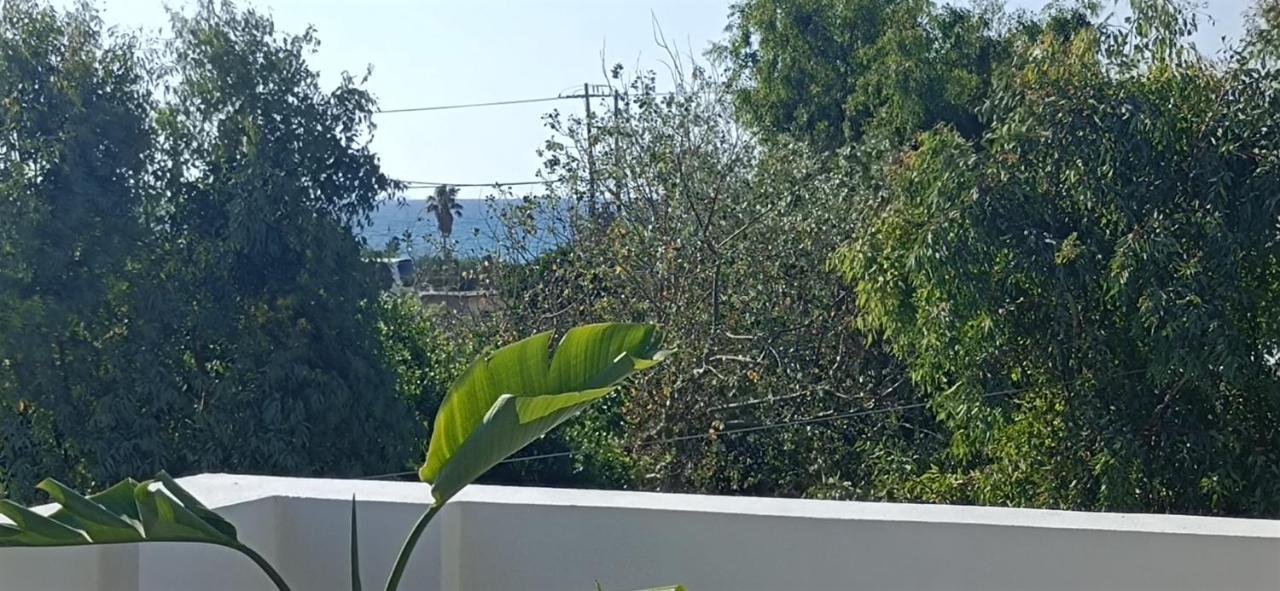 Arokaria Holiday Houses Platanes  Rum bild